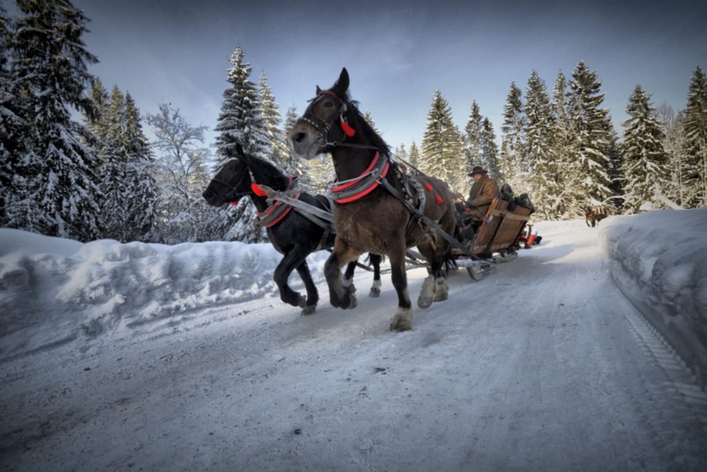 Kulig saniami w górach zimą – atrakcja dla gości wynajmujących domki w górach blisko szlaków i natury